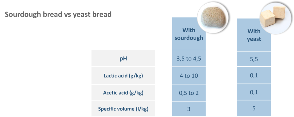 Sourdough bread vs yeast bread