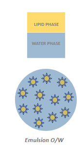 diagram of a direct emulsion